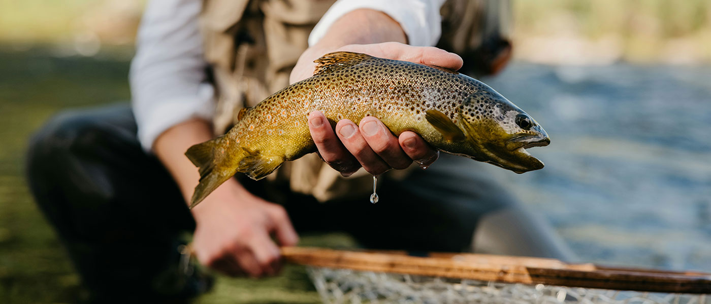 fishing-the-salmon-river-photo-byPhoto-by-Matthew-McBrayer-on-Unsplash Fishing the Salmon River — photo by Matthew McBrayer on Unsplash